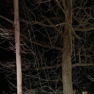 Meet your Posher, Tess